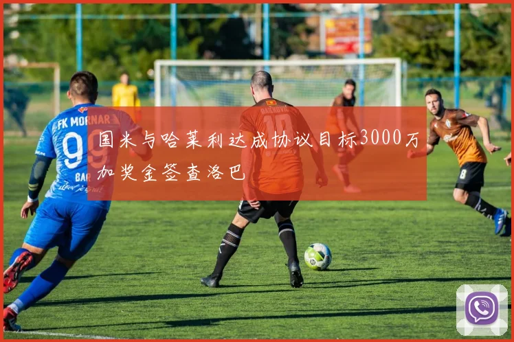 国米与哈莱利达成协议目标3000万加奖金签查洛巴