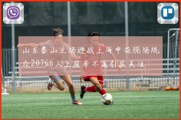 山东泰山主场迎战上海申花现场观众20766人上座率不高引发关注